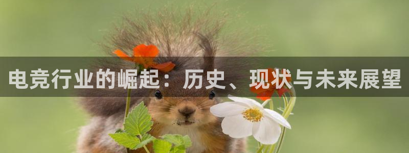 一竞技平台