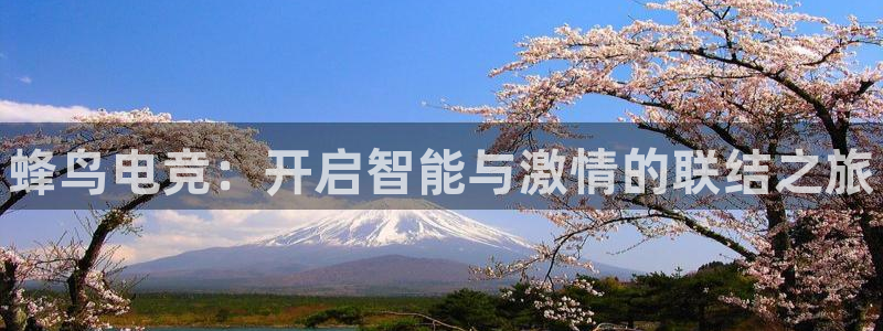 一竞技平台