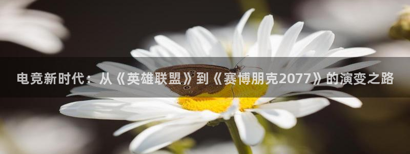 一竞技官网下载