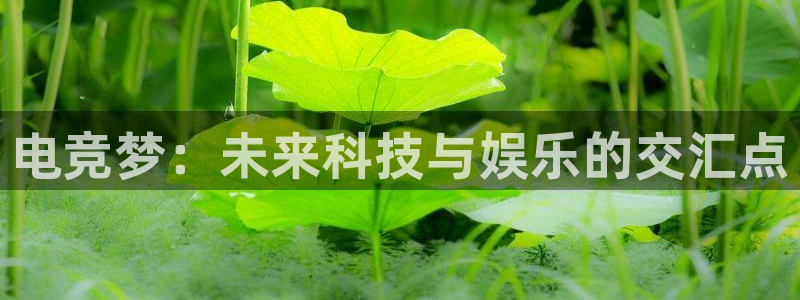 一竞技官网