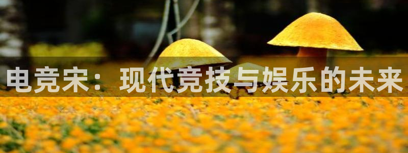 一竞技官网下载