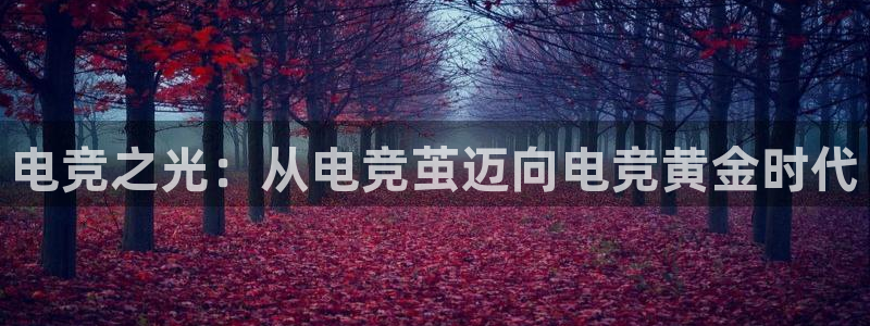 一竞技平台