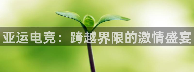 一竞技app