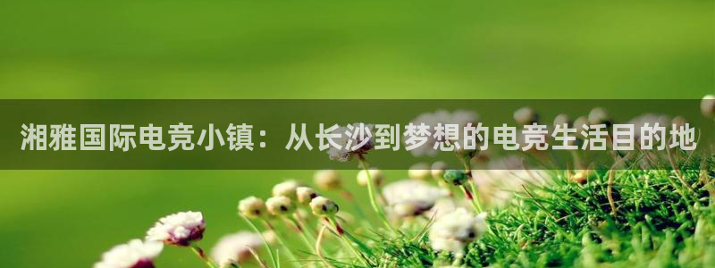 一竞技官网地址